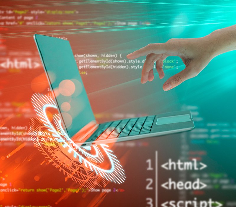 Custom Website Development